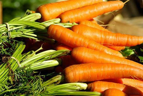 Càng ăn nhiều thứ này da bạn càng trắng hồng căng mịn đặc biệt vào mùa hè