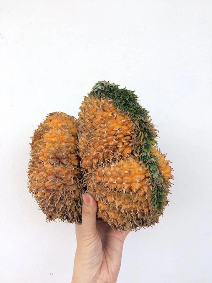 Chị em đảm đang gọt được quả dứa này không mẹ chồng nào không nhận con dâu