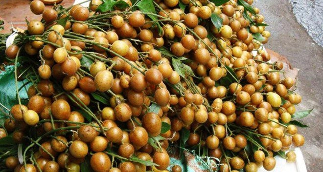 Chỉ vì cái tên mà những món ăn này gây ra biết bao tranh cãi