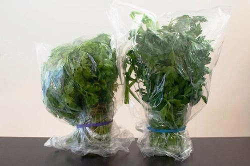 Chiêu độc giúp chị em bảo quản rau củ tươi ngon cả nửa tháng liền tránh lãng phí