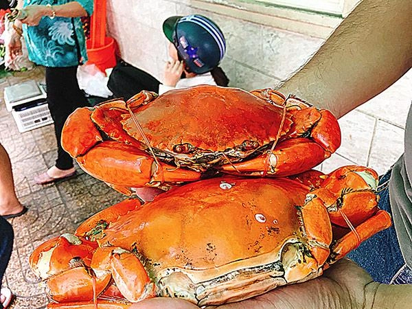 Choáng váng cảnh chen lấn giành giật mua mâm cua dì ba ở sài gòn 10 phút bán 30kg