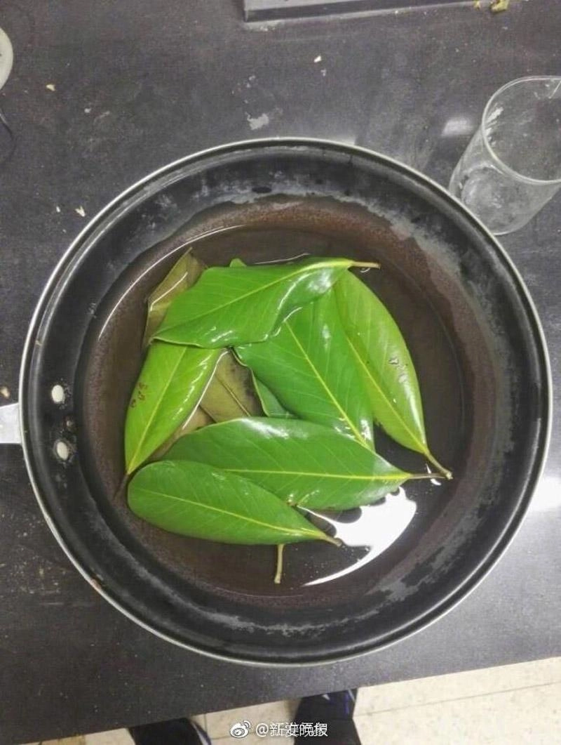 Cô sinh viên năm 2 tha thẩn nhặt lá rụng tưởng lập dị nhưng kết quả thì siêu bất ngờ