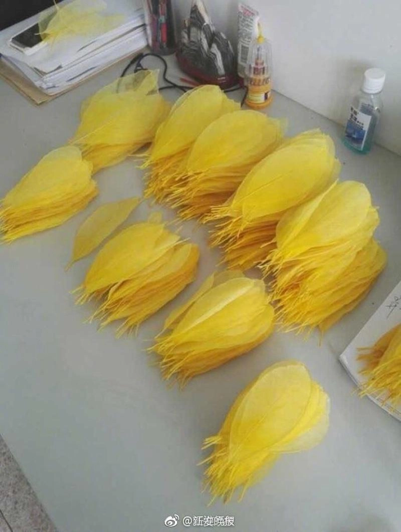 Cô sinh viên năm 2 tha thẩn nhặt lá rụng tưởng lập dị nhưng kết quả thì siêu bất ngờ