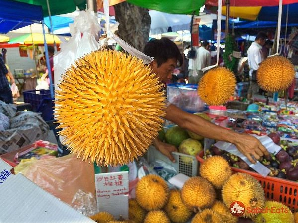 Cứ tưởng photoshop nhưng 100 sầu riêng ruột đỏ là có thật khiến cộng đồng mạng xôn xao