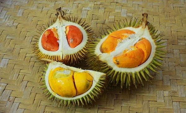 Cứ tưởng photoshop nhưng 100 sầu riêng ruột đỏ là có thật khiến cộng đồng mạng xôn xao