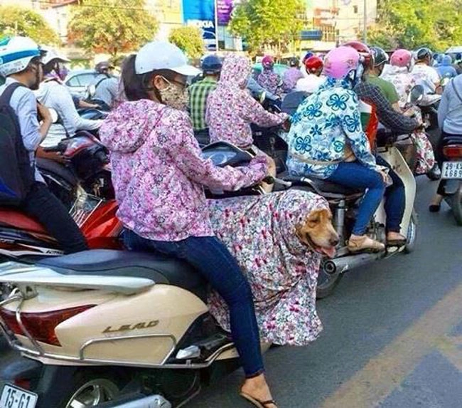 Đây là những hình ảnh thời trang chống nắng bá đạo nhất mùa hè năm nay