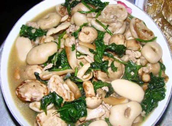 Đến quảng bình uống tiết mãng xà biển ăn gỏi thủy quái bạn đã thử chưa