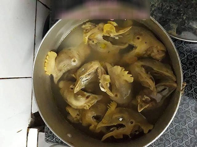 Được ngày bố vào bếp làm cơm đãi cả nhà con vừa mở vung liền hồn bay phách lạc