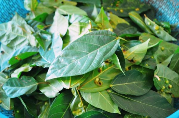 Ghé giao thủy - nam định thưởng thức nem nắm trứ danh ăn là nhớ