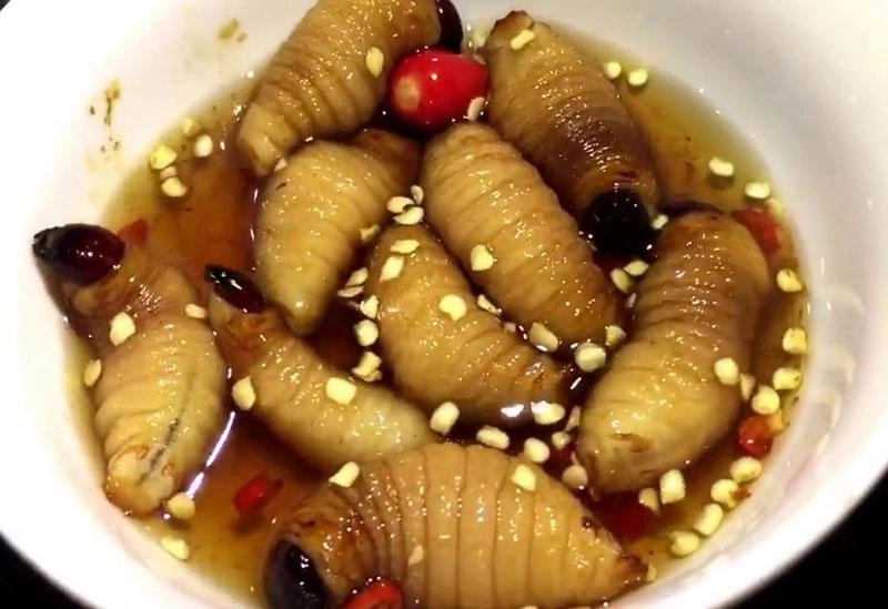 hoảng hồn với những đặc sản sâu bọ sống bò nhung nhúc từ 3 miền