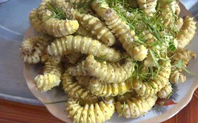 hoảng hồn với những đặc sản sâu bọ sống bò nhung nhúc từ 3 miền