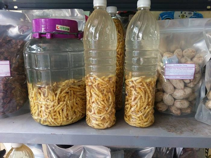 hoảng hồn với những đặc sản sâu bọ sống bò nhung nhúc từ 3 miền