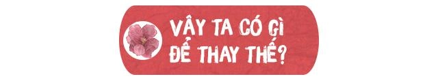 Không chất này cấm tiệt chất kia bằng cách nào chị em bầu bí duy trì làn da mịn mướt
