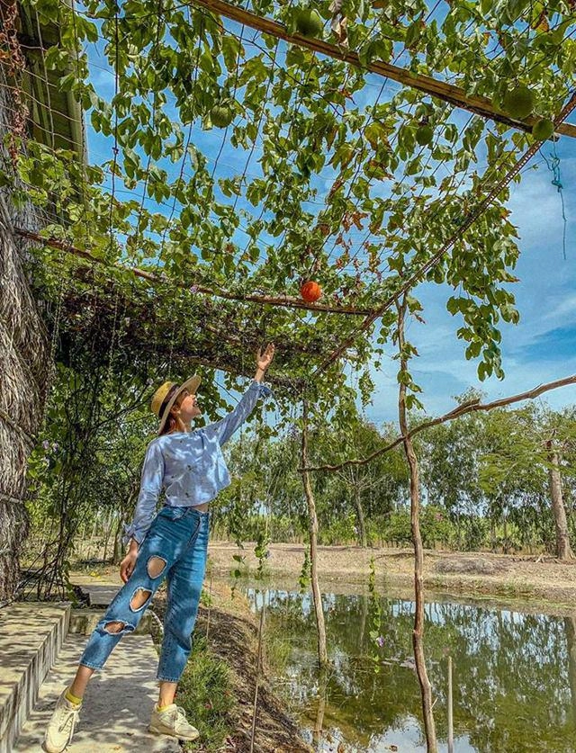 Không phải cằm xuyên thủng vạn vật khuôn miệng đỏ rực khó hiểu của minh hằng mới gây chú ý
