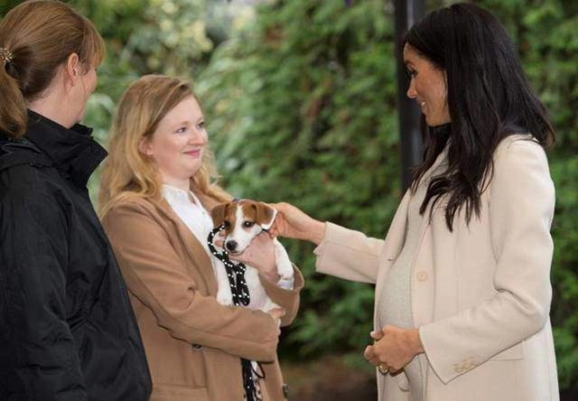 Là bà bầu ham hố khó tính nhất nước anh nhưng không thể phủ nhận điều này ở meghan