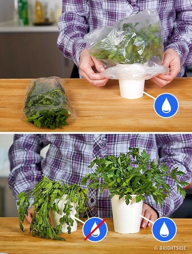 Làm theo các mẹo nấu ăn nhiều chị em hốt hoảng vì nhận kết đắng