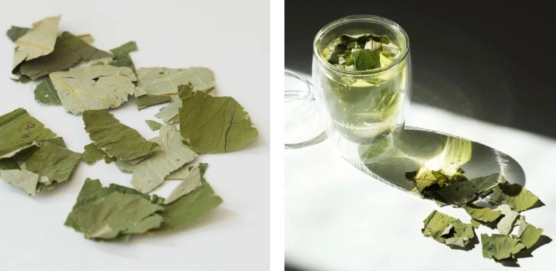 Loại lá là thảo dược xanh tại việt nam nấu nước uống đốt mỡ tốt hơn thuốc giảm cân đắp lên da dưỡng trắng