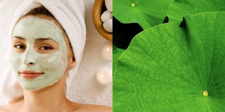 Loại lá là thảo dược xanh tại việt nam nấu nước uống đốt mỡ tốt hơn thuốc giảm cân đắp lên da dưỡng trắng