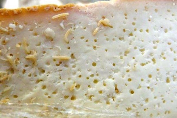 Lượn từ á đến âu kể cả việt nam đều có món chỉ ngon khi ủ bốc mùi có giòi