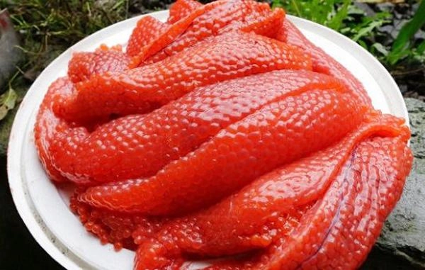 Lượn từ á đến âu kể cả việt nam đều có món chỉ ngon khi ủ bốc mùi có giòi