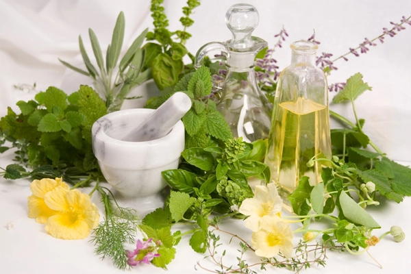 Lý do vì sao bạn đừng bao giờ cho những thứ này vào lò vi sóng