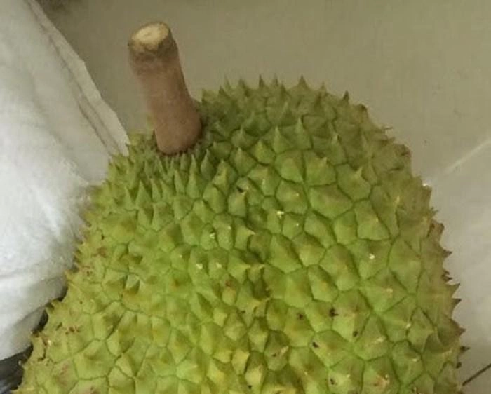 Mách chị em cách chọn sầu riêng trăm quả ngon như một chỉ liếc qua cũng biết
