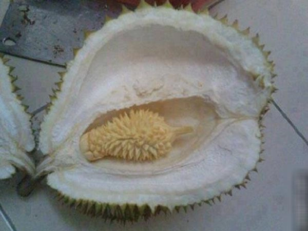 Màn vật lộn của trai trẻ chứng tỏ bổ sầu riêng là thử thách khó nhất nhì thiên hạ