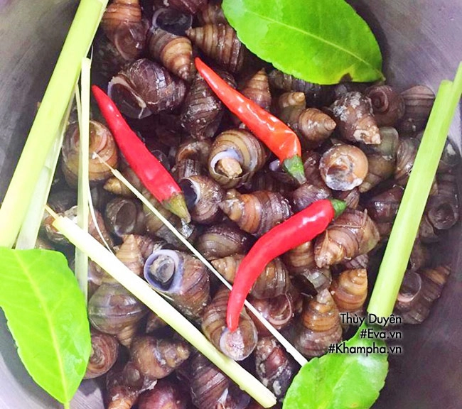 Mát trời cả nhà sì sụp đĩa ốc luộc ăn kèm bún chấm đậm đà dân dã