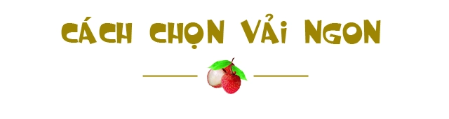 Mẹo chọn vải ngọt lịm tim không hề bị sâu đầu chưa chắc chị em đã biết