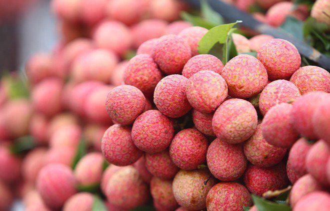 Mẹo chọn vải ngọt lịm tim không hề bị sâu đầu chưa chắc chị em đã biết