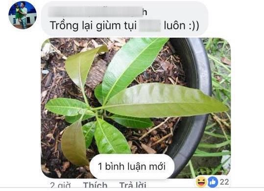 Nghe mxh là con dao hai lưỡi chàng trai đăng ảnh xoài xem có gọt được không và cái kết