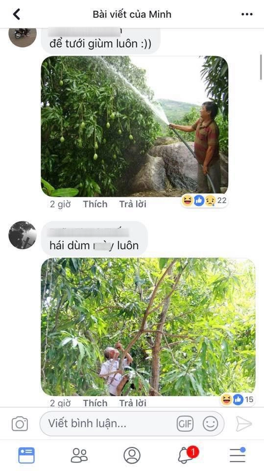Nghe mxh là con dao hai lưỡi chàng trai đăng ảnh xoài xem có gọt được không và cái kết