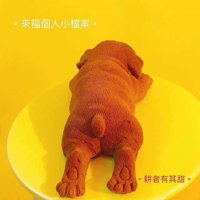 Nhìn xa cứ tưởng chó con lại gần mới biết sự thật bất ngờ