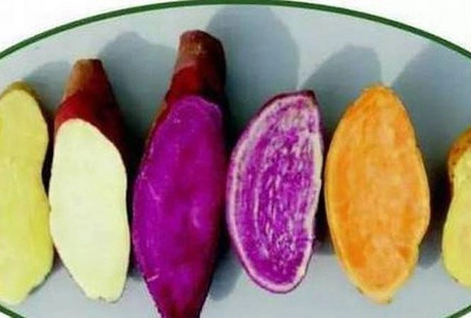 Những cấm kỵ khi ăn khoai lang mà chị em là tín đồ món này nên biết