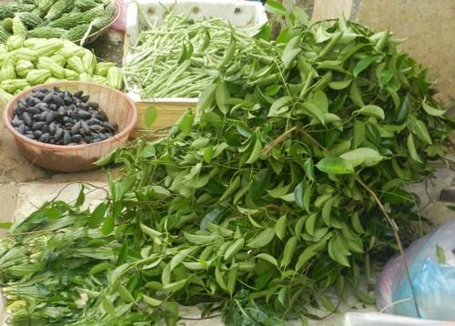 Những món rau rừng đỉnh nhất ăn là nghiện của vùng tây bắc