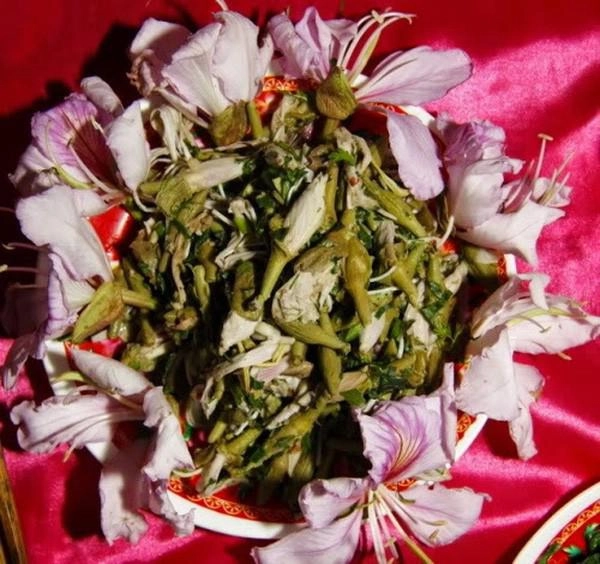 Những món rau rừng đỉnh nhất ăn là nghiện của vùng tây bắc
