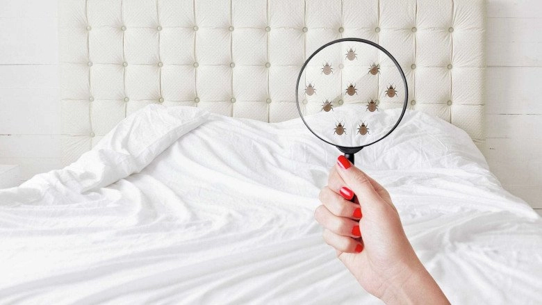 Phụ nữ ngủ nude hay mặc quần áo ai có da dẻ đẹp và giảm cân tốt hơn