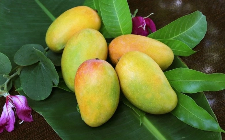 Sai lầm ăn uống của phú bà đào hỷ nhi dù mưa không đến mặt nắng không đến đầu da vẫn sạm đen