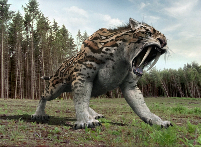 Sym adxtg 400 ra mắt - lấy cảm hứng từ loài săn mồi cổ xưa smilodon