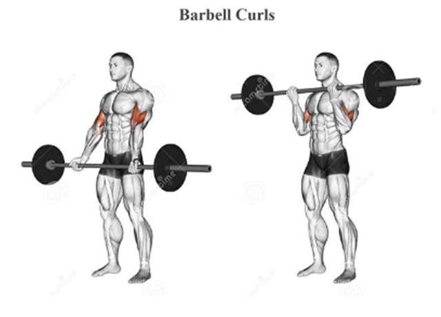 Tập gym cho nam nữ với lịch tập và chế độ ăn uống chuẩn nhất tại nhà