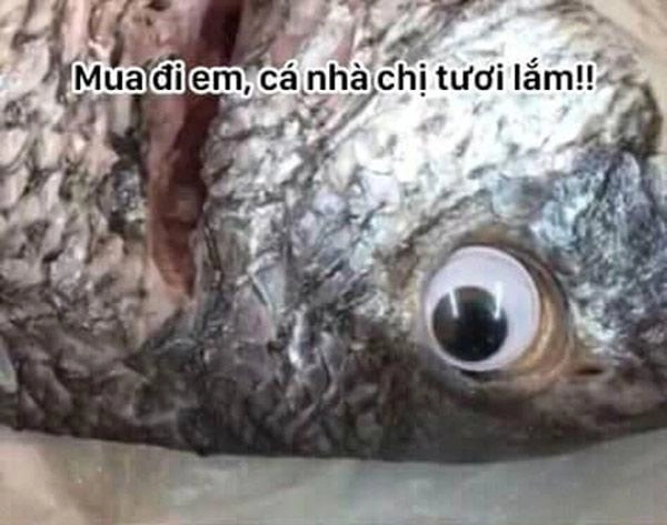 Tìm ra danh tính bà bán hàng có màn lừa bán cá ươn đỉnh cao khiến dân mạng hú hồn