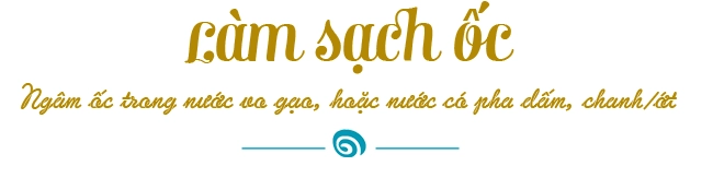 Trời chợt lạnh mách chị em mẹo luộc ốc giòn giòn pha nước chấm ngon ai ăn cũng sướng