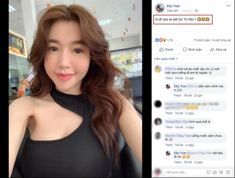 Tự nhận mình là sư tử elly trần khiến người ta ngơ ngác sư tử gì dịu dàng thế này