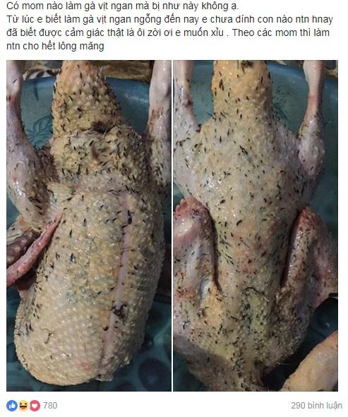 Vặt lông ngan mãi không hết cô nàng tức mình lọc bỏ luôn da