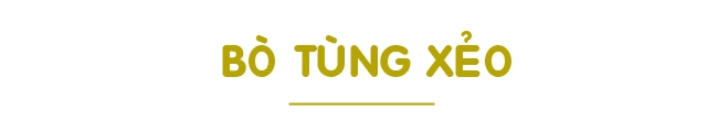 Về miền tây ăn bánh xèo thịt chuột nếm đuông dừa ngâm mắm ngắm sông nước mênh mông