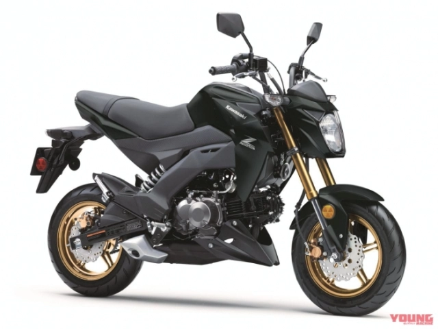 Giá gần 100 triệu kawasaki z125 pro 2025 có đủ sức thu hút ae bằng 3 phối màu mới
