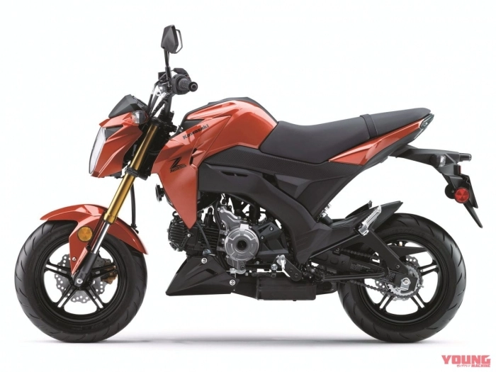 Giá gần 100 triệu kawasaki z125 pro 2025 có đủ sức thu hút ae bằng 3 phối màu mới