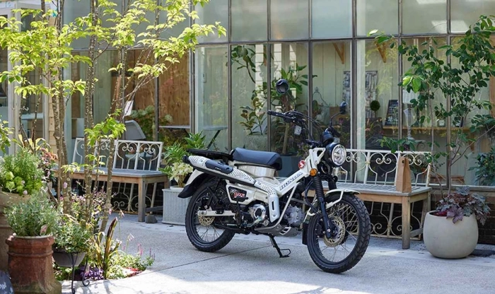 Honda ct125 2025 ra mắt làm tôi thích thú với 2 tuỳ chọn màu mới trông khá bụi bặm