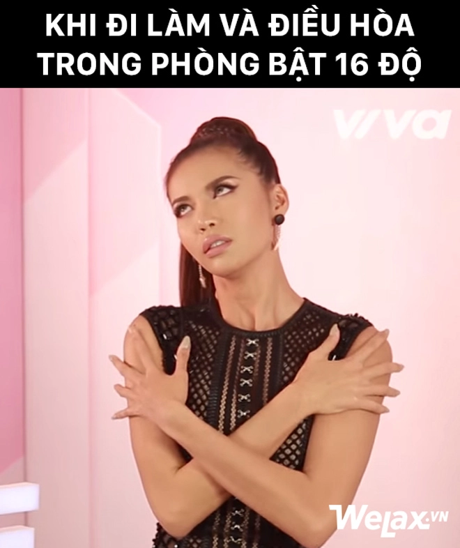 The face việt nam đố nhịn được cười với loạt ảnh chế các hlv chặt chém tơi bời
